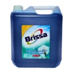 DETERGENTE BRISSA 5 LT
